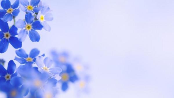 真的，不必為你的樣貌感到自卑