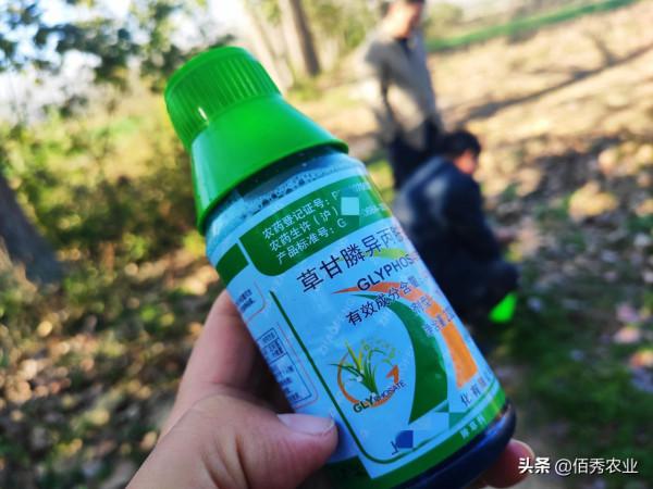 5元能配出高效草甘膦？農民應該瞭解的使用技巧，長效除草並不難
