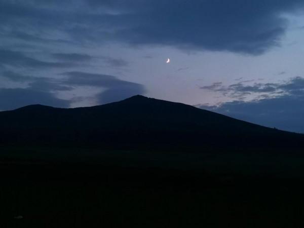 悠悠林海 歲歲情緣