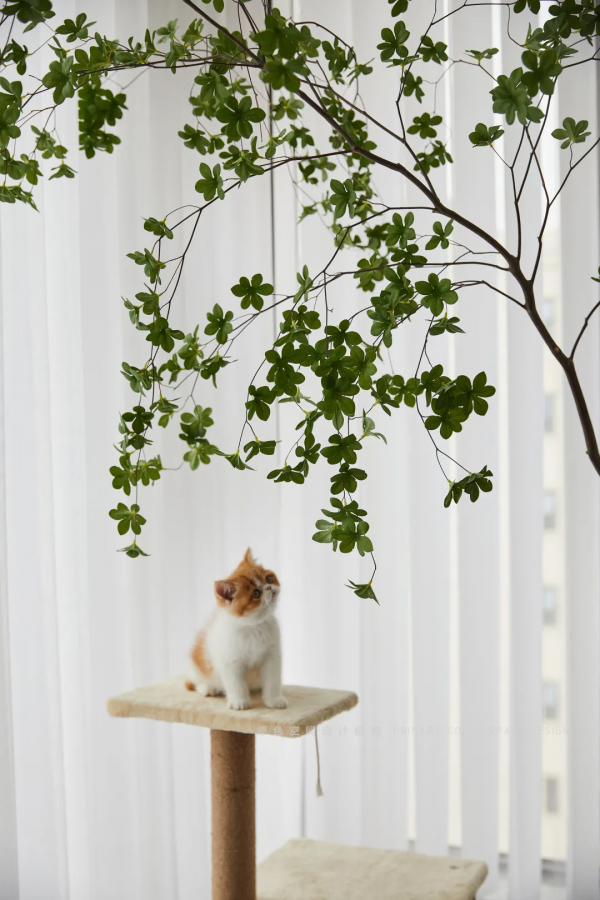 130平現代簡約風 | 為了一個新沙發，我創造了一個新家，