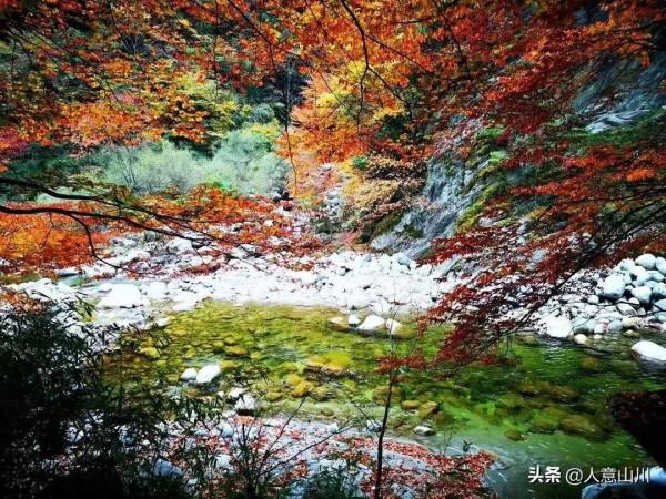 明天,相約唐家河,紅透你的心,把你醉倒在十月的深秋裡 明天,相約唐家河,紅透你的心,把你醉倒在十月的深秋裡