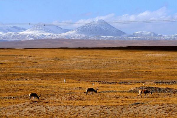 我與途安的故事之七：跨越3座5000米高山