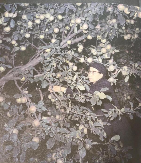 (第十五輯)12幅老照片,幅幅珍貴,很值得一看 (第十五輯)12幅老照片,幅幅珍貴,很值得一看