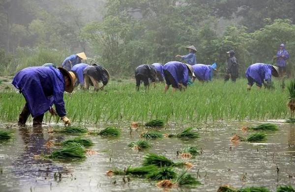 50張照片記錄著最真實的農村生活,這才是我們最深刻的回憶 50張照片記錄著最真實的農村生活,這才是我們最深刻的回憶