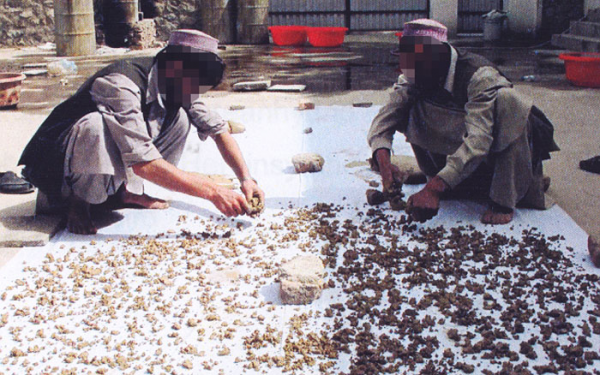 費城的“殭屍樂園”是美國癮君子的地獄