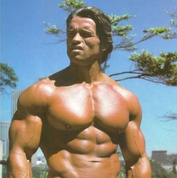 阿諾德.施瓦辛格最喜歡的胸肌訓練，只有4個動作，就足夠了