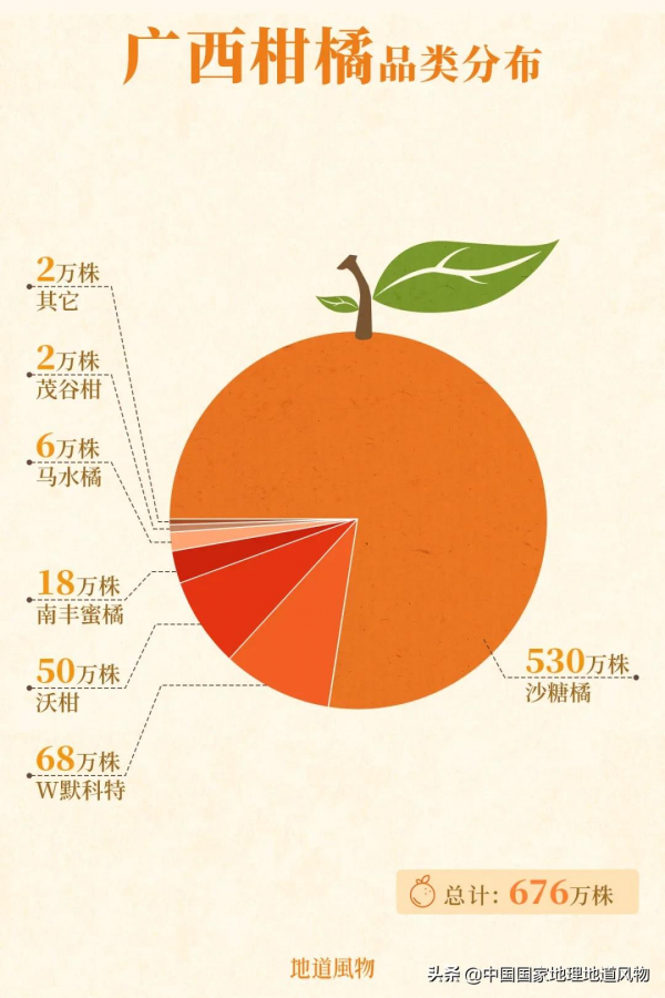 557億斤！5個第一！3個第二！水果大省廣西，到底有多“豪”？