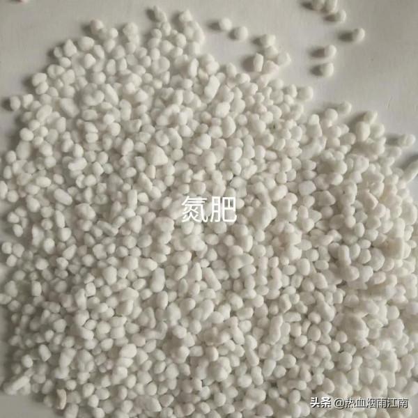 哪些花要用哪些肥料,要對症下肥 哪些花要用哪些肥料,要對症下肥