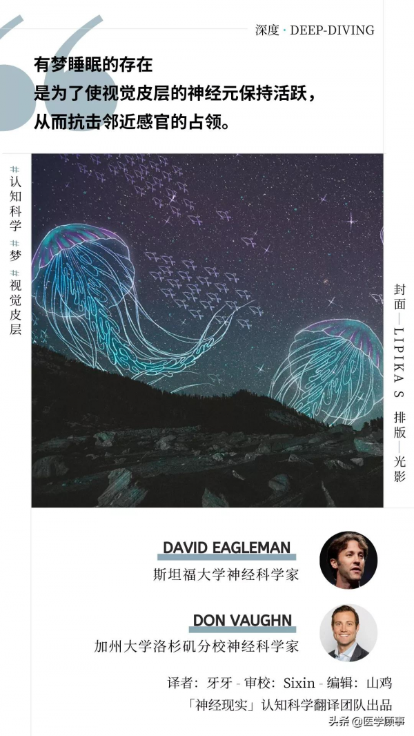 夢境的存在竟是為了給視覺皮層看家? 夢境的存在竟是為了給視覺皮層看家?