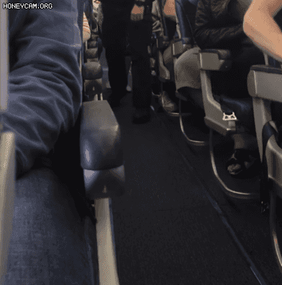 丟人！頭等艙亞裔男暴打空姐，航班緊急迫降！乘客怒：不戴口罩，還打女人