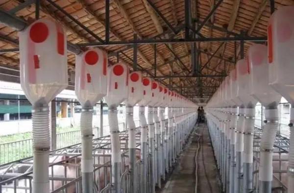 荷蘭和內蒙古對比一下，我們會發現差距來自哪裡