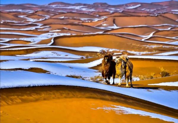 沙漠世界地質公園風光