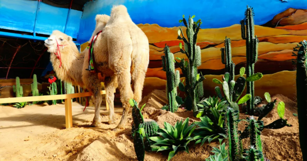 即日起，免費！