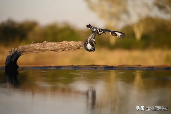 重新認識下獲得DPReview年度大獎的尼康Z 9 重新認識下獲得DPReview年度大獎的尼康Z 9