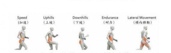 科學健身知識|跑者核心力量訓練的重要性 科學健身知識|跑者核心力量訓練的重要性