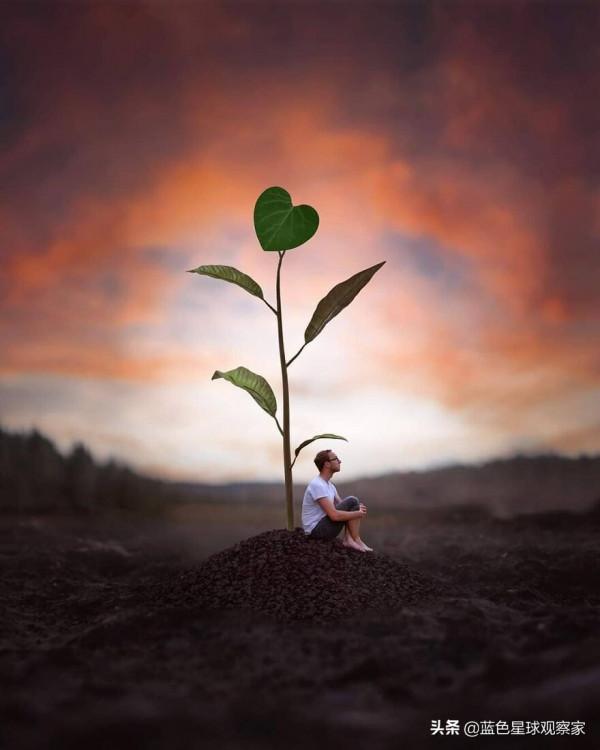 11月新鮮出爐,30張開啟孩子想象力的攝影作品 11月新鮮出爐,30張開啟孩子想象力的攝影作品