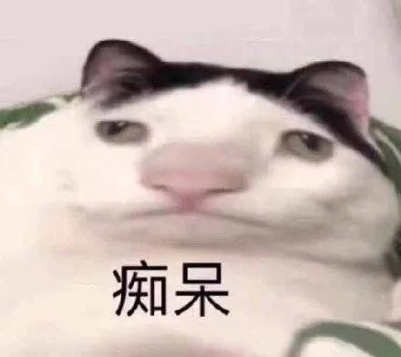 可愛貓貓表情包第二彈