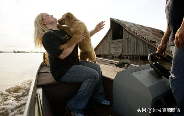 狗狗的這些行為是在告訴你一些資訊 你注意到了嗎？