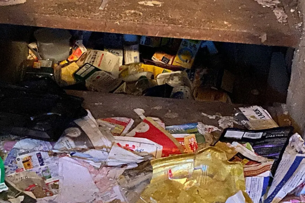 日本孤獨死的背後，這些寵物成了廉價的陪葬品