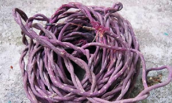 33種農村老物件，有的已經消失，70年代人的回憶；80後不見得認識