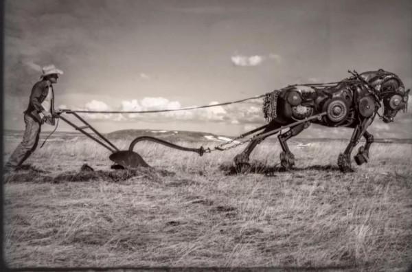 廢品做的藝術品太震撼了 廢品做的藝術品太震撼了