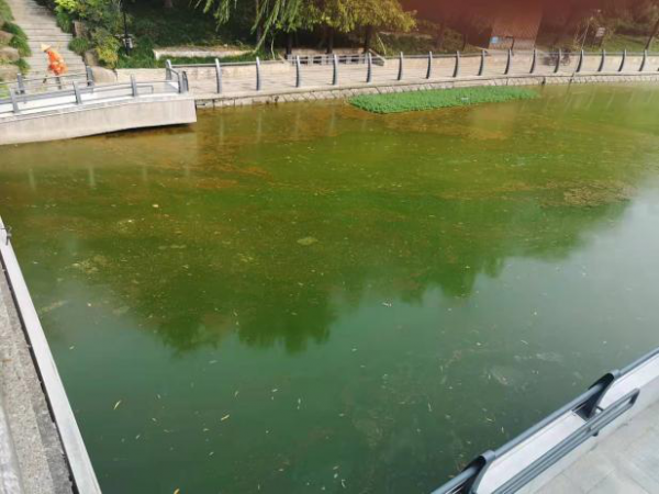 濱江首艘5G無人船投入使用~