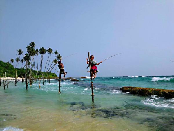 斯里蘭卡之旅（22）在科格勒(Koggala )體驗高蹺釣魚