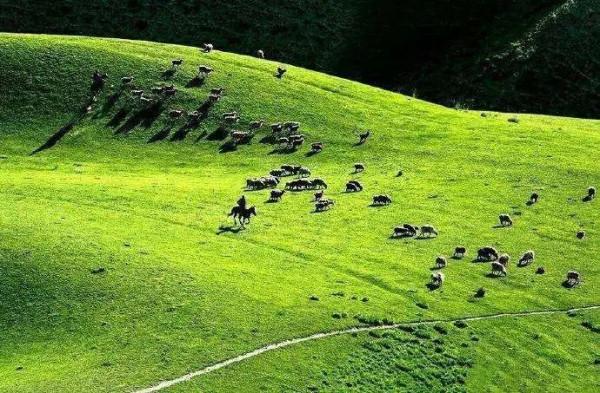 美！外國人眼裡最羨慕的中國美景，你都去過嗎？