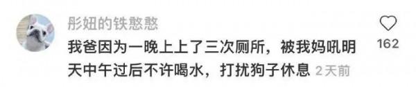 不養寵物你都不知道，它們來了後你的家庭地位能下降到什麼程度