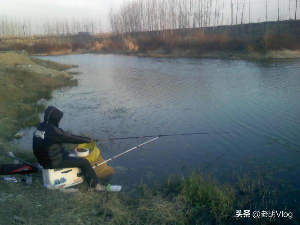 冬季野釣，符合這兩個特點的地方就是“魚窩”，老釣手都明白