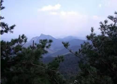 120000畝，河南這個第一大儲存很完好的原始森林，瀑布如霧似幻