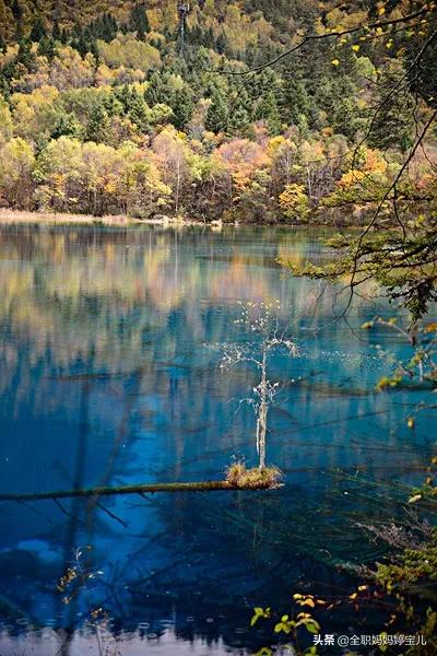 分享——令人迷幻的九寨溝