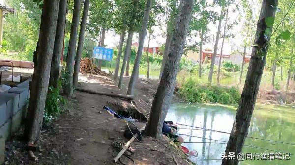 老大媽：在我家門口釣魚就得給我一條，網友：這跟搶魚有什麼區別