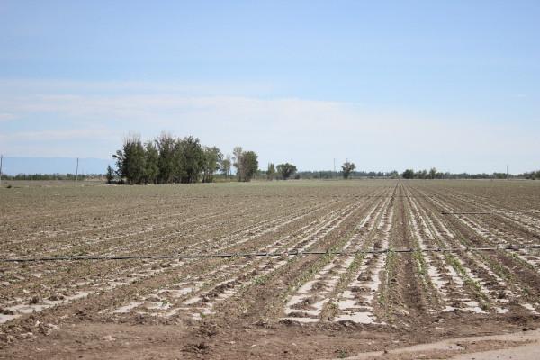 身向雲山那畔行｜周健飛