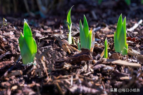 人生思考，解密人生“七環”