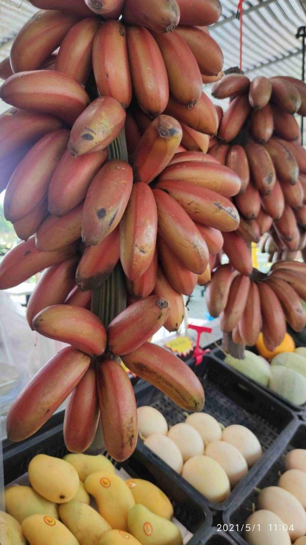 葡萄摘下來還會熟嗎？水果冷知識科普，你不知道的有趣知識