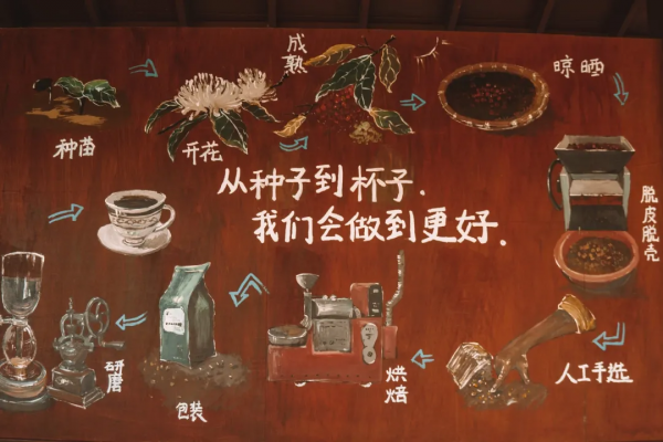 高鐵0.5h、物價只有一半，我願稱她為三亞最強備胎