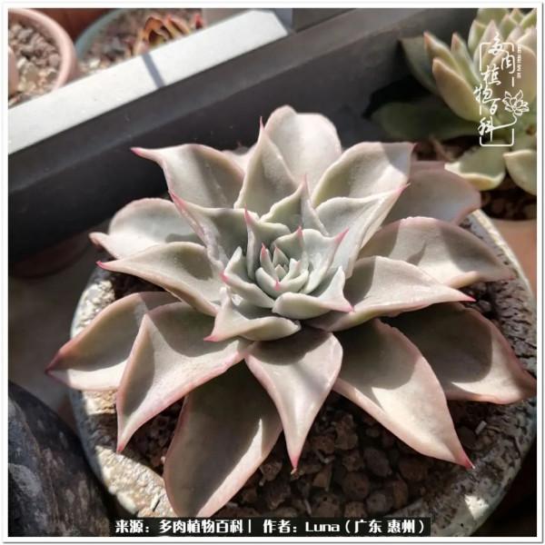 學會和解:與自己、與他人、與世界 學會和解:與自己、與他人、與世界