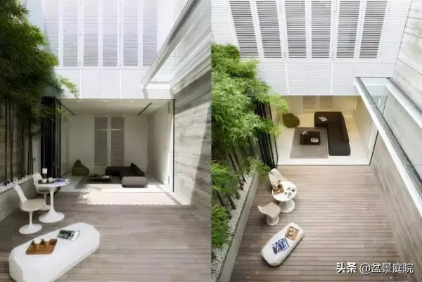 家有竹園，這才是極具風雅之事