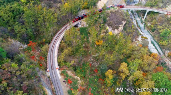 10月11日起，黃金寨免費入園！