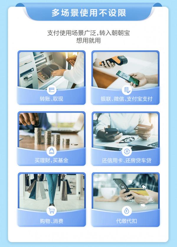 養貓一個月開銷多少？需要做哪些準備？資深鏟屎官為您解答