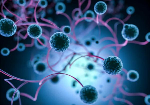 人死後，體內的“殭屍基因”開始活躍，試圖復活人類