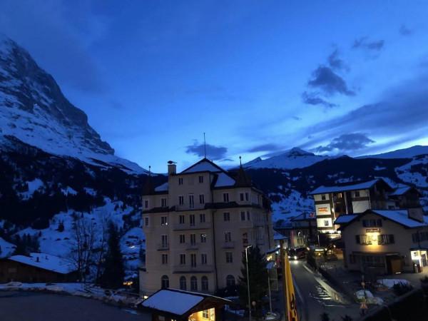 格林德瓦-誤入仙境的驚喜