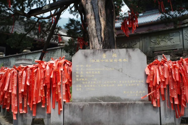 別再說什麼小京都了，寧波這些寺廟來打臉了