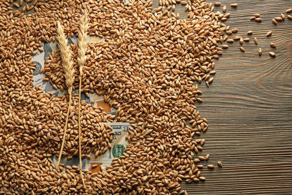 “3大危機”仍存！2022年，全球糧價是漲還是跌？