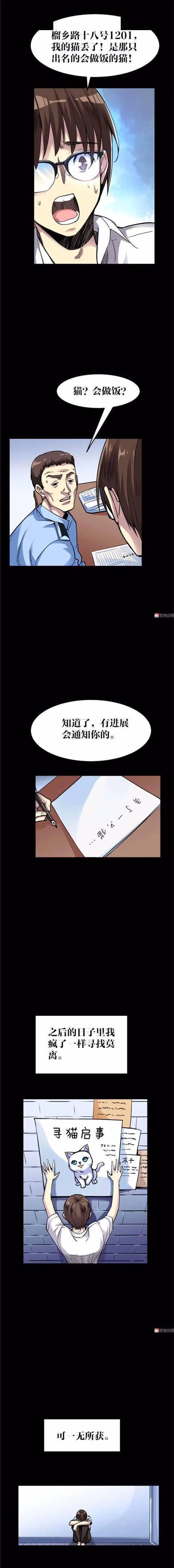 漫畫｜人性篇：會做飯的網紅貓咪