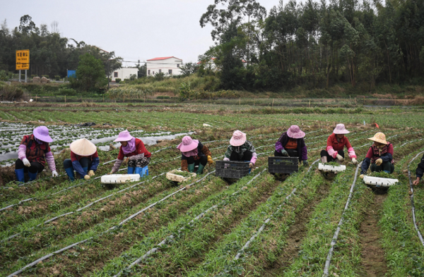 為什麼有些資本“笑著進去,哭著出來”?就是因為不懂這個規律 為什麼有些資本“笑著進去,哭著出來”?就是因為不懂這個規律