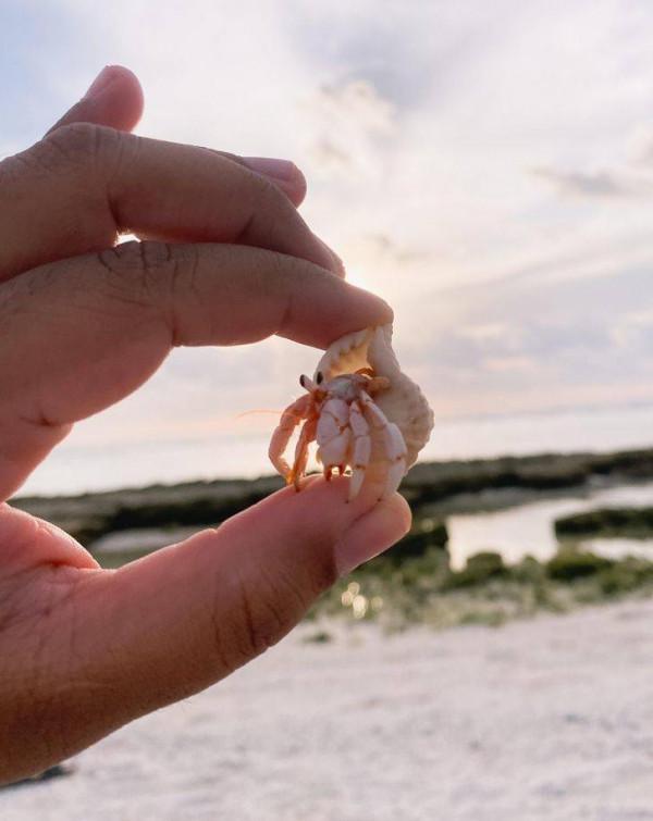 45張照片！讓你看到驚奇無比，難以想象的神奇的大自然