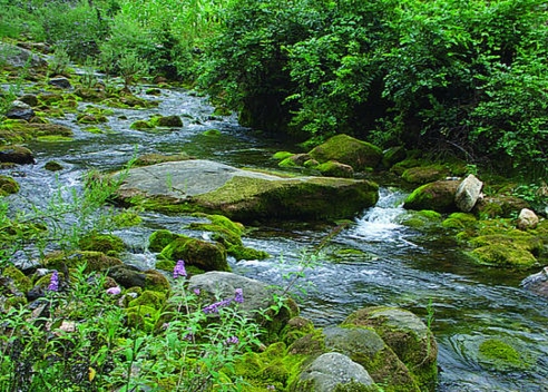 你對“清貧安靜的生活”是怎樣理解的，我是這樣理解的