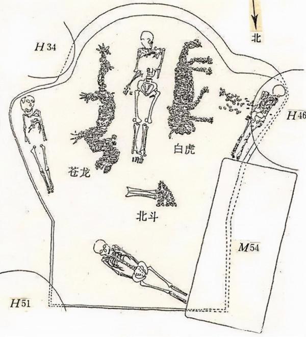 與人類同行百萬年，老虎的老家在河南？